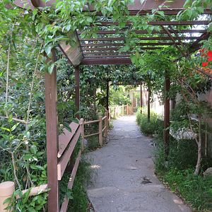 Walk-through Aviary
