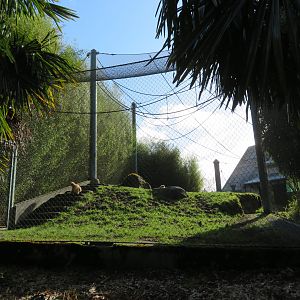 Rotational Yard (with Lar Gibbons)