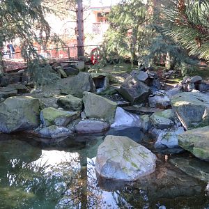 Magellanic Penguin Exhibit