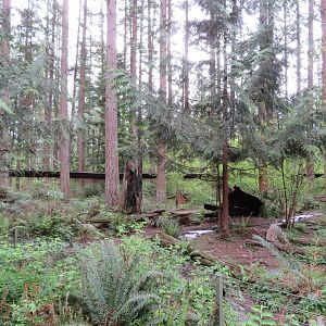 Example Carnivore Exhibit