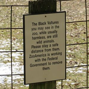 Signage about Wild Black Vultures