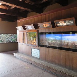 Reptile Exhibits