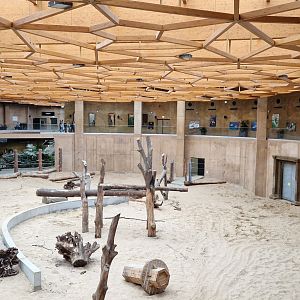 Asian Elephants indoor space