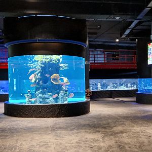 Aquariums