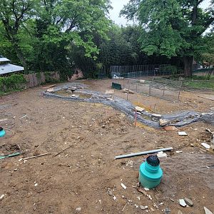 May. 2022 - Future Elephant Trek Construction