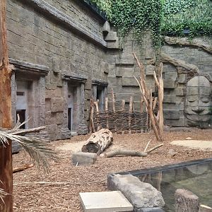 Anoa/Philippine porcupine/ Asian Small-clawed Otter, Red junglefowl exhibit