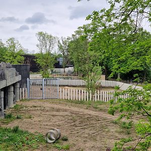 1st Elephant outdoor exhibit