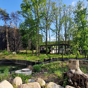 3rd Elephant outdoor exhibit