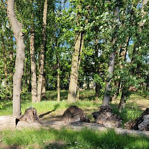 2nd Elephant outdoor exhibit