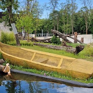 Sun Bear outdoor exhibit