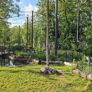 Pygmy Hippo Walktrough aviary