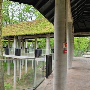 Elephant viewing platform
