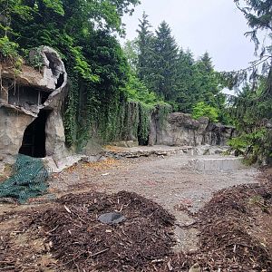 May. 2022 - Future Sea Otter Coast (2023) / Former Secondary Polar Bear Exhibit