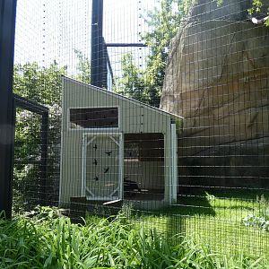 New Raptor Shelter?, Birds of Prey - May 2022