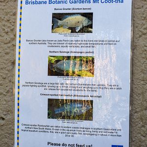 Brisbane Botanic Gardens - Tropical Dome Fish Signage