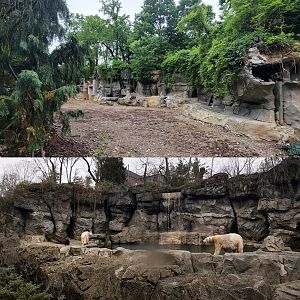 May. 2022 - Future Black Bear Exhibit (2023) / Former Polar Bear Exhibit Comparison