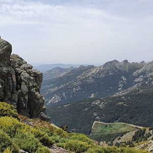 Western Spanish Ibex, Sierra de Guadarrama NP, 21st May 2022