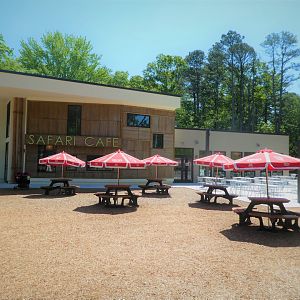 NEW - Safari Cafe