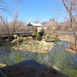 Alligator/Crane Exhibit (changes by season)