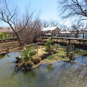 Alligator/Crane Exhibit (changes by season)