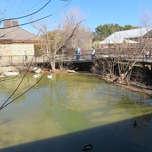 Wetlands - Swan Pond