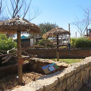 Caribbean Cove - Macaw/Tortoise Exhibit
