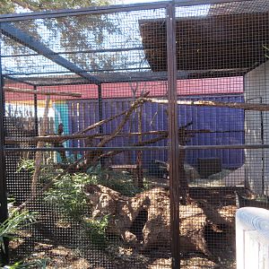 Tayra Enclosure