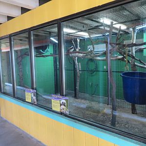 Tamarin/Sloth Exhibit