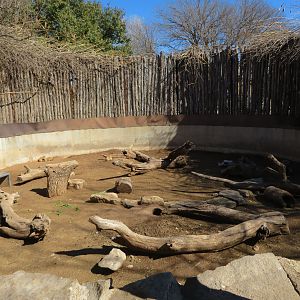 Prairie Dog/Box Turtle Exhibit