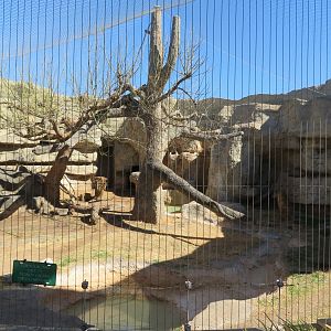 Jaguar Exhibit