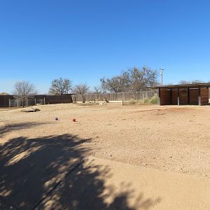 Pampas Yard (3 species)