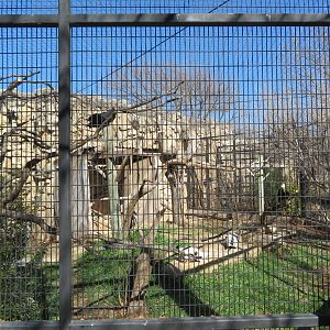 Caracara/Vulture Exhibit