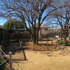 Aviary Circle (5 species)