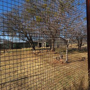 Secretarybird Yard