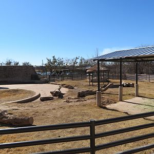 Black Rhino Yard