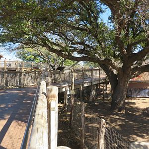 Boardwalk up to Giraffe Platform