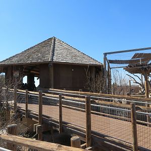 Giraffe Viewing/Feeding Platform