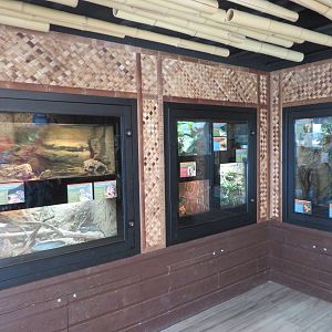 Madagascar Herp Exhibits