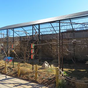 Madagascar Mixed Aviary (Outdoor) (8 species)