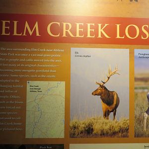 Elm Creek Signage