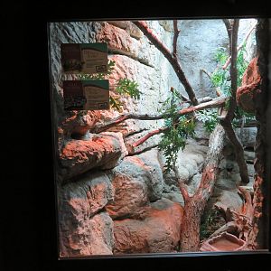 Box Turtle/Rat Snake Exhibit