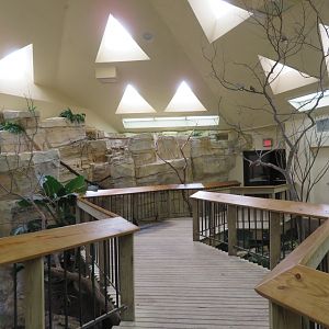 Walk-through Aviary (10 species)