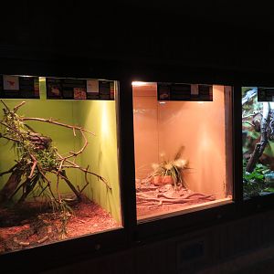 Reptile House Terrariums
