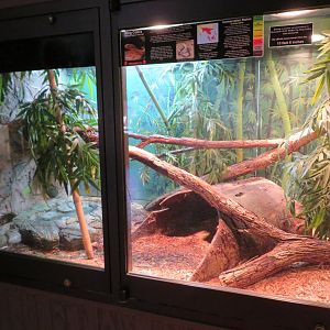 Reptile House Terrariums