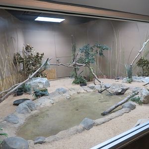 Lapwing/Stilt Exhibit