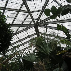 Rainforest Building - Skylight View