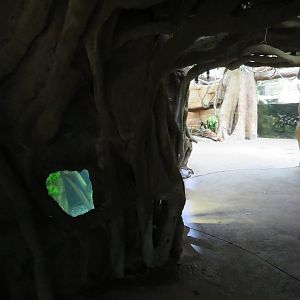 Aquatic Section of Rainforest Building