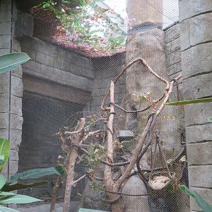 Sloth Exhibit