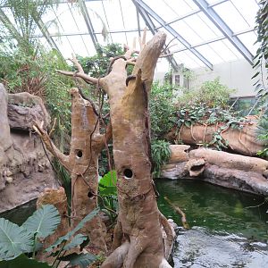 View of Rainforest Building