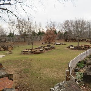 Mixed Savanna Yard (5 species)